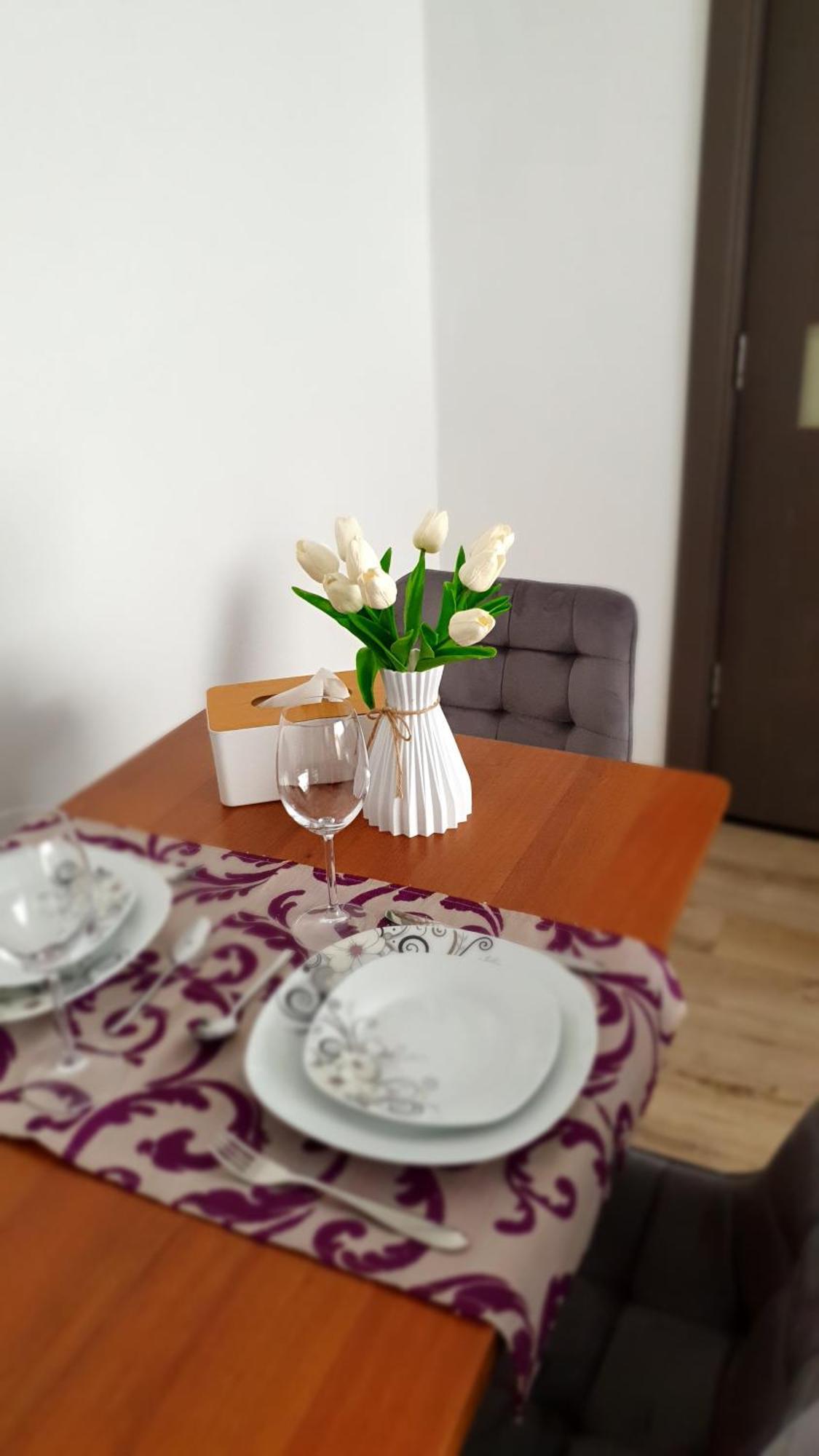 Andrei Apartment Braşov Exterior foto